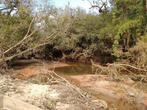 IMG_20170730_092228925